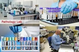 Fully automated lab (EQAS CMC VELLORE)
